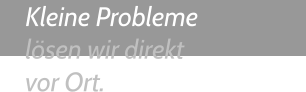 Kleine Probleme lösen wir direkt vor Ort.