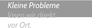 Kleine Probleme lösen wir direkt vor Ort.